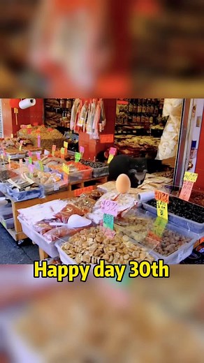 Happy happy cat🥰Buy egg meets Apple🍎cat banana🍌cat in the hospital🏥#cat #happycat #foryou #fyp #applecat #bananacat #funny