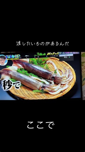 ドッキリGPの面白シーン集