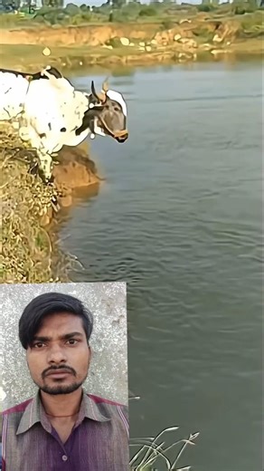 #Timelapse, start to finish alone build log cabin (wooden house), how to build wooden cabin, surviva