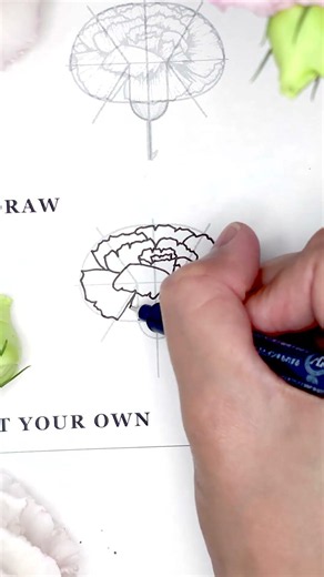 Drawing a carnation flower with this guide you can use ✨