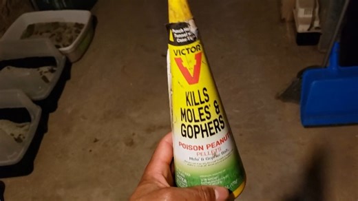 Watch Do You Really Need This Mole Killer? on Amazon Live