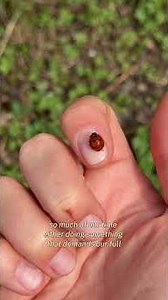 I only started getting into gardening in 2022. So therapeutic and peaceful 😌