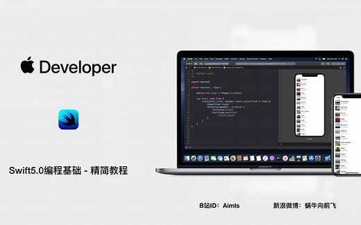 【Swift编程基础】公司内部培训视频 - 已完结2019年9月份 - ios，Macos，SwiftUI开发前基础知识培训