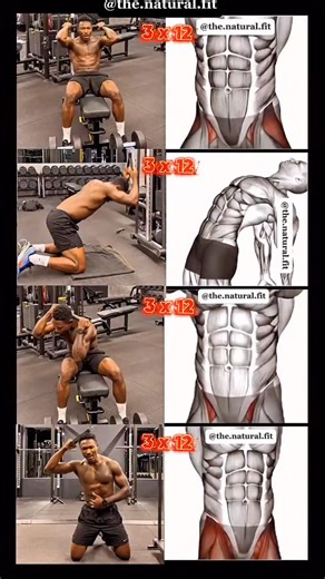 GYMNASIUM WORK | 🔥 Complete Core Finisher (3 sets of 12 reps each) 🔥 ​Finish your workout strong with this abdominal routine! It hits all the major muscles... | Instagram