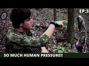 THE LAND BETWEEN THE LAKES: PUBLIC LAND BOW HUNTING OPENER