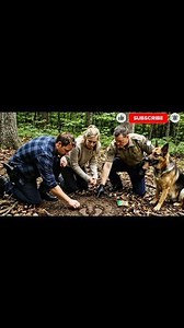 62K views · 4.1K reactions | After Their Son Goes Missing, a German Shepherd Taps On Window Daily-Where It Leads Turns Them Pale #lifelessons #viralreel #usreel #amazingreel #trendingvideo | Fact Fusion | Facebook