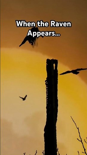 Raven Spirit Message 🐦‍⬛ | Trust Your Intuition