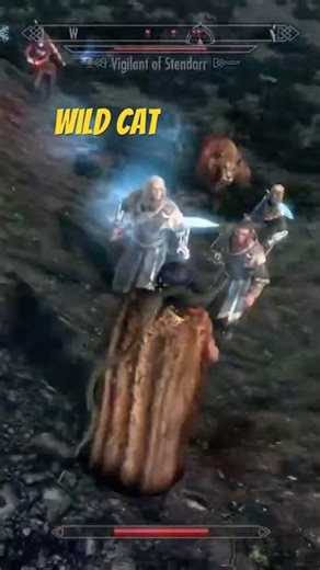 Skyrim anniversary edition wildcat mod #mods #￼elderscrolls #gaming #fighting