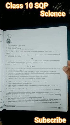 Class 10 Sample Question paper Science//question practice #Science #pw#like 😄 Board preparation#SQP#