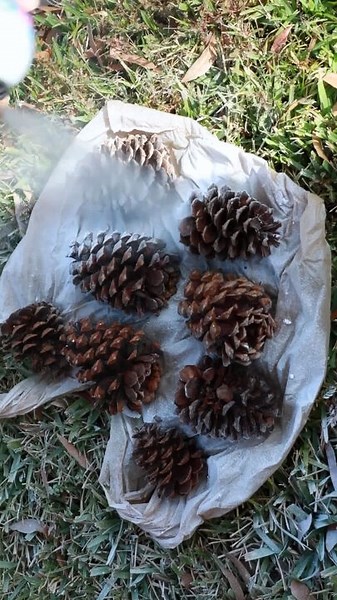 Christmas Tablescape Design