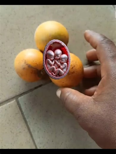 Understanding Pregnancy and Fetal Movement