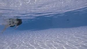 Beauty woman in swimming pool