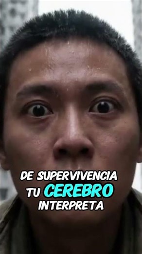 NO es ansiedad, es SUPERVIVENCIA