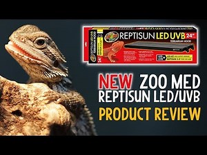 Zoo Med Reptisun LED + UVB Review