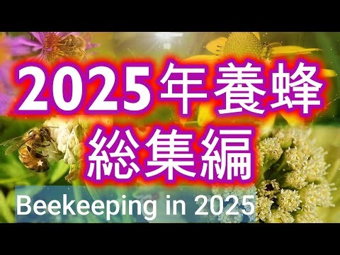 晴蜂雨読 No. 74／ミツバチの四季／2025年養蜂のサマリー／2025年12月、その2／山崎亮一／字幕／Summary of our apiary's activities in 2025／Sub