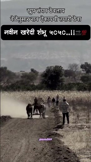 वेळेनुसार नाव ऐकायची तयारी ठेवा...5050 सरकार 🔥👑 #sonya5050 #sonya #cow #bull #5050_sarkar #5050