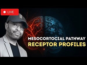 Mesocortocial Pathway: Receptor profiles | REED MATRIX with Dr. Jody Reed