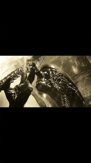 Alien (Xenomorph) - Action Figure Photography