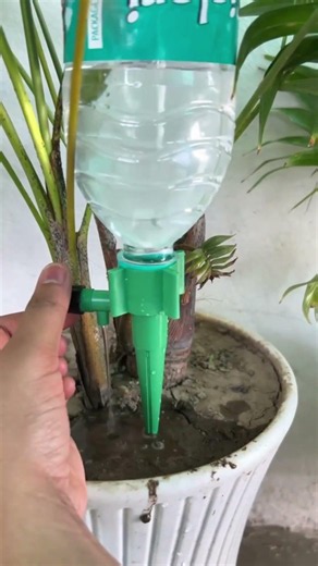 🌱 12 Self-Watering Spikes for Plants! 🌿 Best Gardening Hack Under ₹200 #shorts