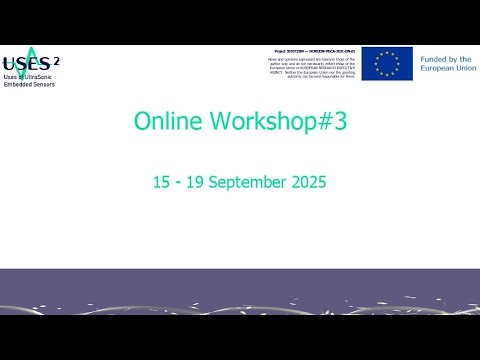 Data reduction methods by Dr Florian Roemer (IZFP, Germany)