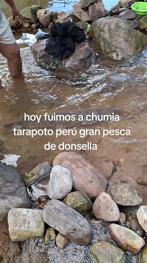 Gran pesca de doncella en Chumía, Tarapoto Perú