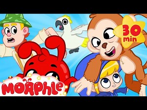 Morphle's Monkey Madness - Jungle Train | Mila and Morphle | Cartoons for Kids | Morphle TV - Videos For Kids