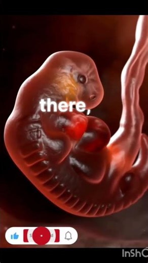 Reproduction in Humans | The beginning of life | Biology