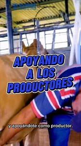 1.2K reactions · 248 shares | ¡Atención ganaderas y ganaderos! Seguimos protegiendo a nuestro estado del Gusano Barrenador del ganado GBG. Y para apoyarte en este tiempo, lanzamos créditos emergentes que van de 125 a 250 mil pesos. Para mayor información, llama al (614) 429-3300, extensiones 12535 y 17706. Para apoyar tu economía y nuestra tradición ganadera, ¡Cuenta conmigo! | Gobierno del Estado de Chihuahua | Facebook