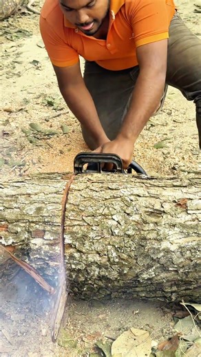 Extreme Big Tree Cutting Skill 🌳🪓✨