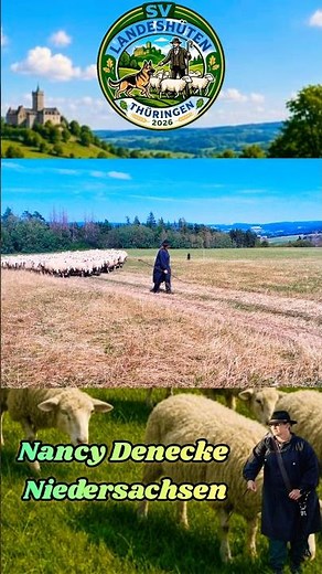 SV State Herding Trial🏆 Thuringia on 07/25/2026 in Königsee Nancy Denecke 3rd Place #germanshepherd