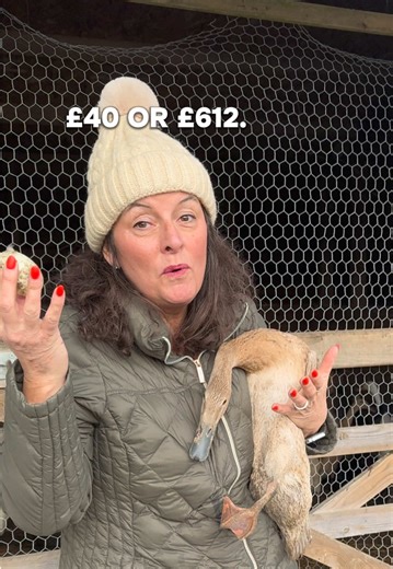 Transforming Duck Farming: From One-Time Sales to Recurring Income