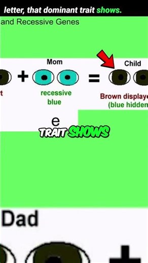 Genetics Laws Explained: Dominance & Recessive Traits #shorts