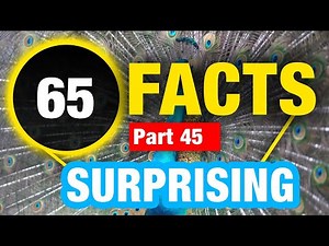 65 Weird Fun Facts | Incredible Weird Facts