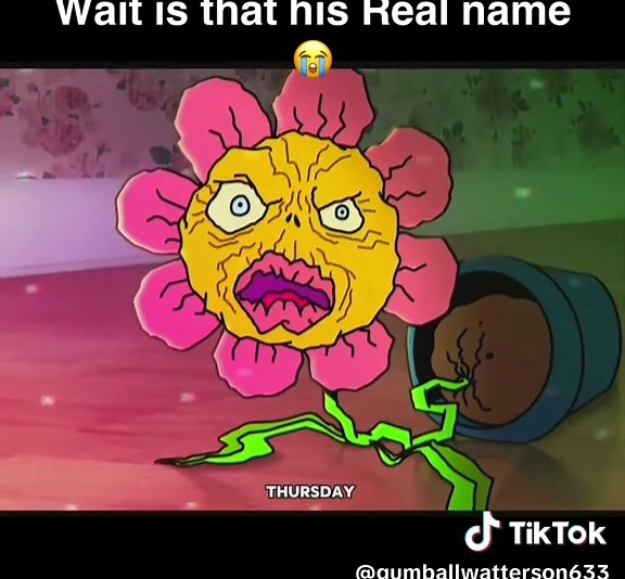 حسابات مقترحة