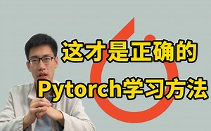 别一上来就背各种函数，这才是高效的Pytorch学习方法！Pytorch深度学习零基础入门教程，迪哥手把手教你快速掌握Pytorch框架！
