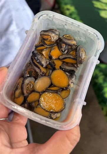 Part 5 | Super Bowl grinds. The hosts’ personals, but they shared, how amazing🫶🏽 @Rochelle Sensano Fresh ‘opihi even with the rain, and rough water because our uncle Popo is one hammah. This is the real gold. Just Hawaiian salt is mayjah🤤 #personal #opihi #pupu #hawaii #fypシ @_kslcn