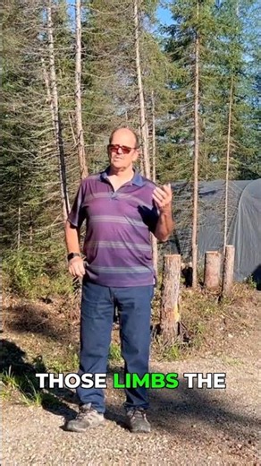 Don't Let Dead Trees Become a Disaster #OffGrid #homestead #short