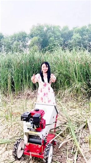 Farming device silage grass cutter #fcnfm #farmmachine