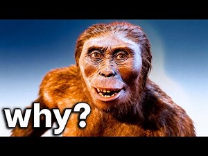 Why Did the Most Successful Early Human Go Extinct? | HISTORY FOR SLEEP