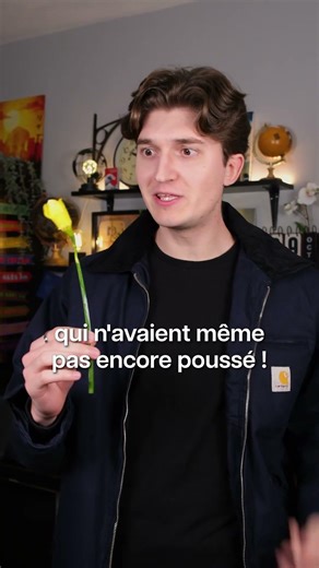 This flower was worth more than a house 🌷