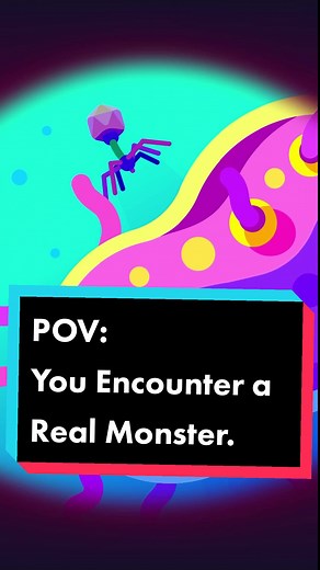 Unveiling the World of Bacteriophages and Microbiology