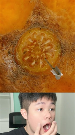 We all stuck in a loop #shorts