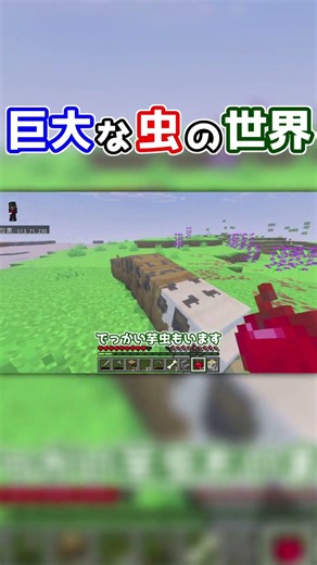 A world of giant insects #Minecraft #GiantBugs