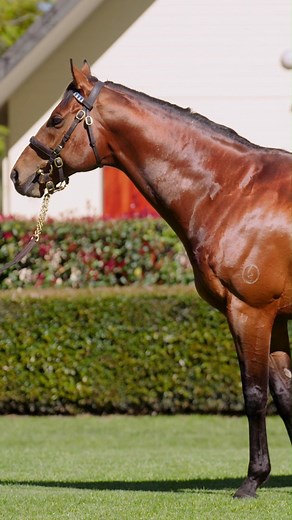 🇦🇺 The Darley 2025 stallion roster is built to shape generations. 🎯 Proven sires. ⚡ Precocious speed. 📈 Commercial upside. Meet the Darley 2025 roster → https://darley.to/F6fz3C | Darley