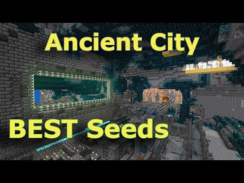 10 Best Ancient City Seeds - 2 and 3 Portal Cities for Java 1:20+