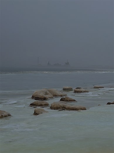 #winterwonders #moodchallenge #saturday #zvejniekciems #skultestirgus