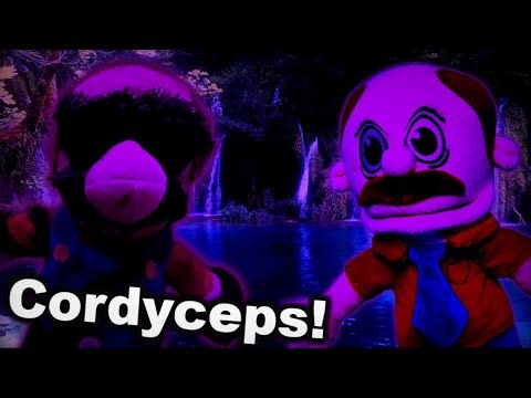 The Rotting Cordyceps by ‪@j0elwashere0611‬ but I charted it [FNF CHARTED]