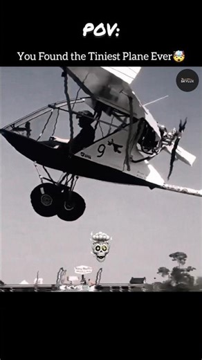 World’s Smallest Airplane That Actually Flies! #airplane