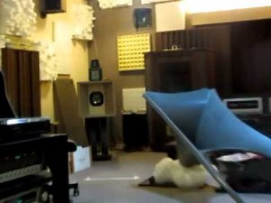 Tannoy Westminster listening comparison with ESS amt based DIY speakers