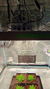 6.3K views · 93 reactions | Mars Hydro FC 3000-EVO with 3'x3' Grow Tent Kits. Check out this video! @TheGreenPhantom420 | Mars Hydro LED | Facebook
